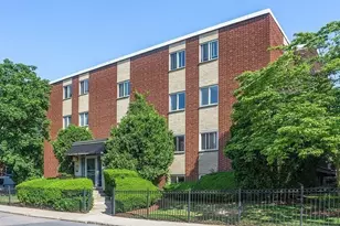 29 Custer St, Boston, MA 02130 - Photo 9