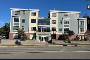 45 Spring St, Boston, MA 02132 - Photo 27
