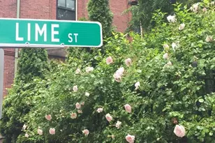 20 Lime, Boston, MA 02108 - Photo 15