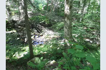 43-A River Rd, Middlefield, MA 01050 - Photo 5