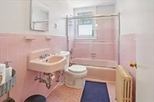 123 White St, Belmont, MA 02478 - Photo 19