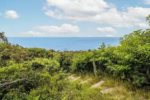 44 Carey Ln, Falmouth, MA 02540 - Photo 37