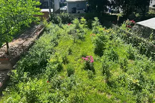 551 Bennington St, Boston, MA 02128 - Photo 21