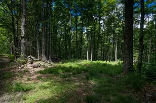 91 Lynes Rd, Chester, MA 01011 - Photo 1