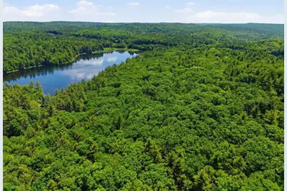 0 Carter Pond Road, Petersham, MA 01366 - Photo 1