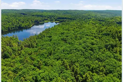 0 Carter Pond Road, Petersham, MA 01366 - Photo 1