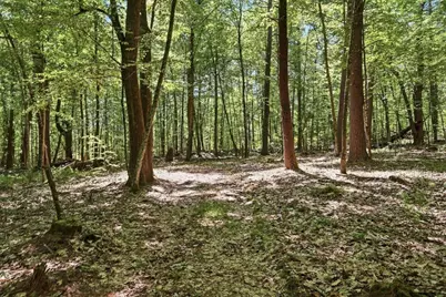 0 Carter Pond Road, Petersham, MA 01366 - Photo 15
