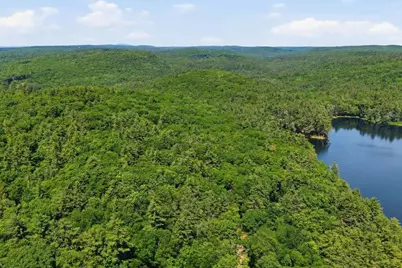 0 Carter Pond Road, Petersham, MA 01366 - Photo 5