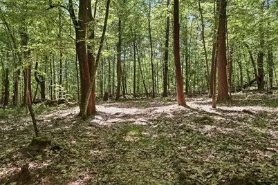 0 Carter Pond Road, Petersham, MA 01366 - Photo 15