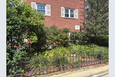 219 Massachusetts #5, Arlington, MA 02474 - Photo 1