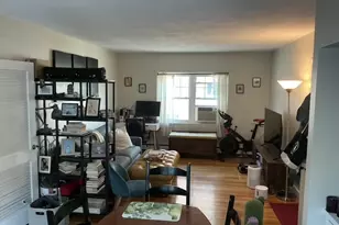 219 Massachusetts, Arlington, MA 02474 - Photo 9