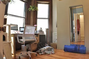31 Fairfield, Boston, MA 02116 - Photo 11