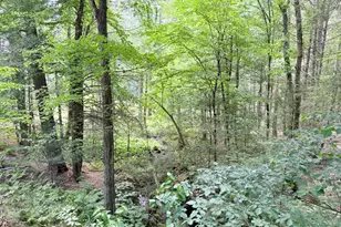 41 Thresher Rd, Hampden, MA 01036 - Photo 29