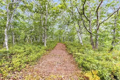 35A Higgins Hollow Rd, Truro, MA 02666 - Photo 7