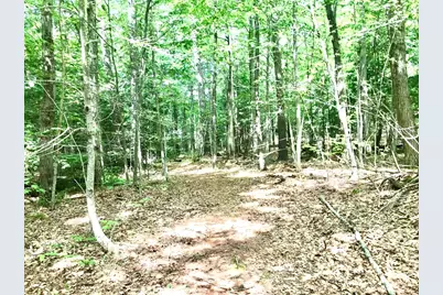 1165 Reservoir Rd, Otis, MA 01253 - Photo 31