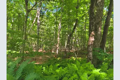Lot 2 Holcomb Road, Chester, MA 01011 - Photo 1