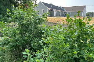 1968 Plymouth St, East Bridgewater, MA 02333 - Photo 13