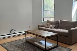 20 Linwood St, Boston, MA 02119 - Photo 21