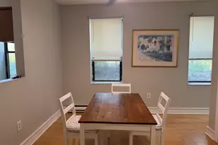 20 Linwood St, Boston, MA 02119 - Photo 13