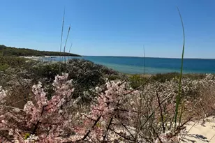 64 Christiantown, West Tisbury, MA 02575 - Photo 41