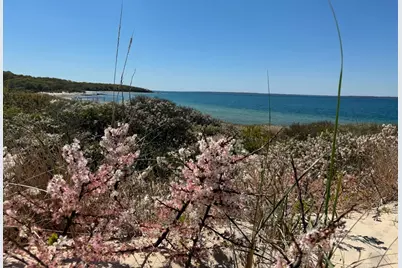 64 Christiantown, West Tisbury, MA 02575 - Photo 41