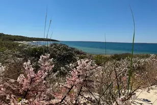 64 Christiantown, West Tisbury, MA 02575 - Photo 41