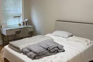 313 Tappan St, Brookline, MA 02445 - Photo 15