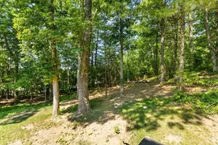 17 Farm St, Medway, MA 02053 - Photo 33