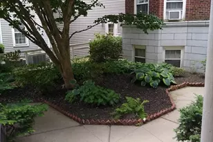 41 Bowdoin St, Cambridge, MA 02138 - Photo 15