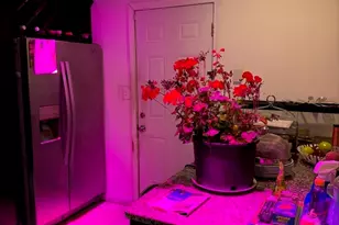 90 Sunset Ave, Brockton, MA 02301 - Photo 5
