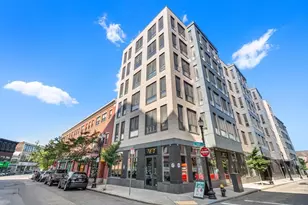16 Taber St, Boston, MA 02119 - Photo 15