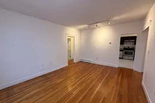 32 Ransom Rd, Boston, MA 02135 - Photo 11