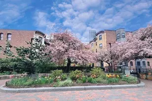16 Claremont Park, Boston, MA 02118 - Photo 33
