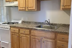 59 Chestnut St, Waltham, MA 02453 - Photo 3