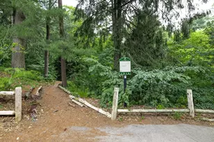 22 Bracebridge Rd, Newton, MA 02459 - Photo 37