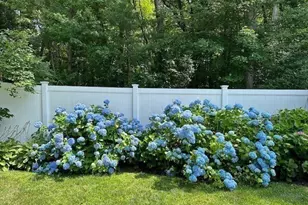 18 Hart St, Burlington, MA 01803 - Photo 7