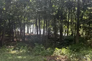 224 W Plain St, Wayland, MA 01778 - Photo 9