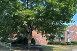 56 Townsend St, Abington, MA 02351 - Photo 19