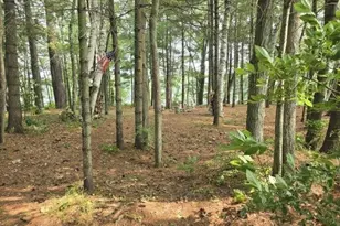 878 Flat Hill Rd, Lunenburg, MA 01462 - Photo 5