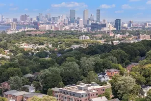 249 Corey Rd, Boston, MA 02135 - Photo 21