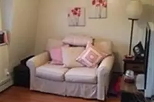 10 Springer St, Boston, MA 02127 - Photo 3