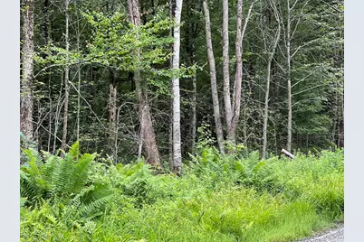 Lot 19 Becket Rd, Middlefield, MA 01243 - Photo 3
