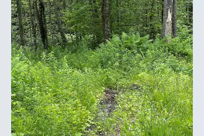Lot 21 Becket Rd, Middlefield, MA 01243 - Photo 1