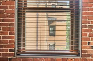 329 Lamartine, Boston, MA 02130 - Photo 27