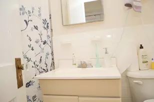 229 St Paul St, Brookline, MA 02446 - Photo 11