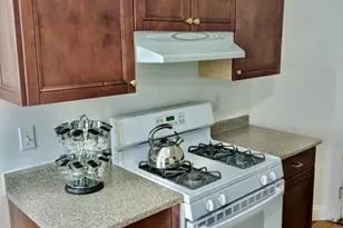 41 Payson Rd, Belmont, MA 02478 - Photo 5
