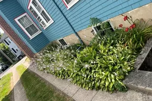 35 Sanborn Ave, Boston, MA 02132 - Photo 33