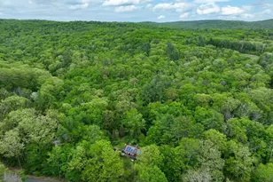 509 Williamsburg Rd, Conway, MA 01341 - Photo 3