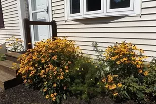 5 Milan Ave, Woburn, MA 01801 - Photo 29