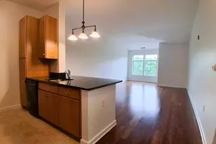 5 Repton Circle, Watertown, MA 02472 - Photo 7